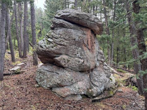 6842 Snowshoe Trail Evergreen CO 80439