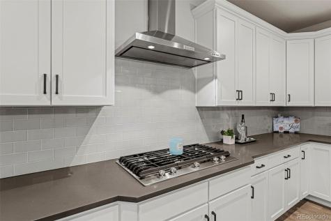 11582 Tyrolite Trail Parker CO 80138