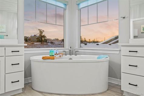 11582 Tyrolite Trail Parker CO 80138