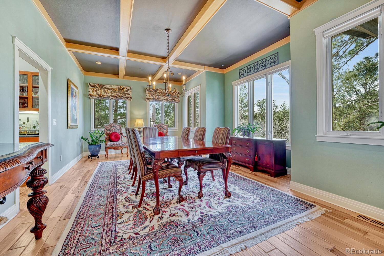 395 Orofino Drive Castle Rock CO 80108