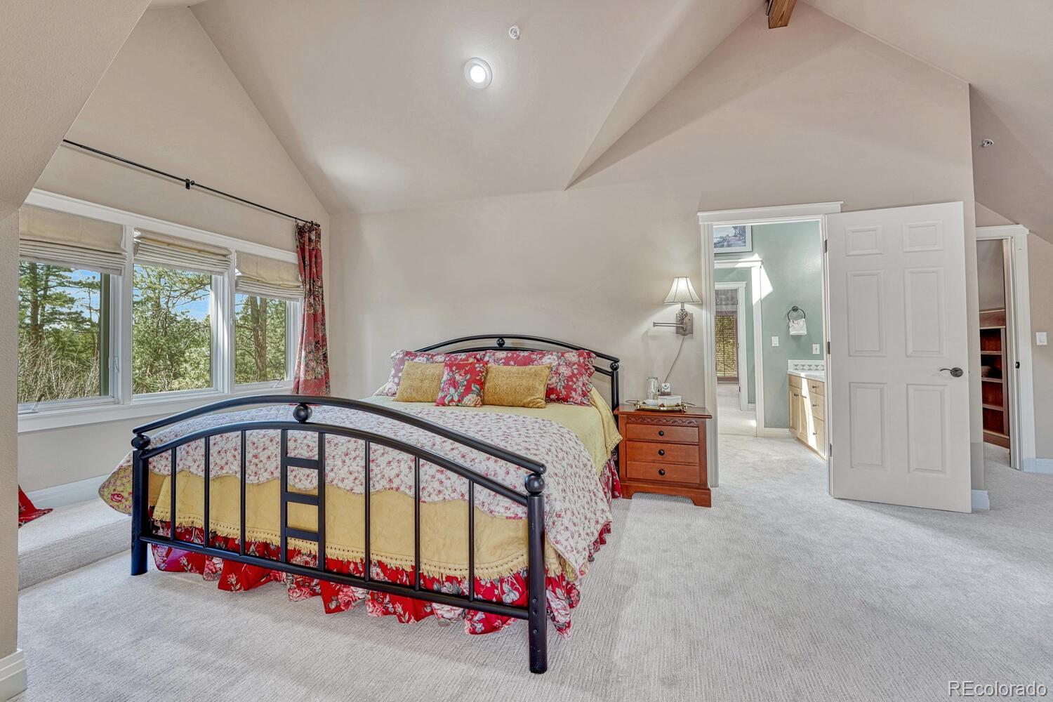 395 Orofino Drive Castle Rock CO 80108