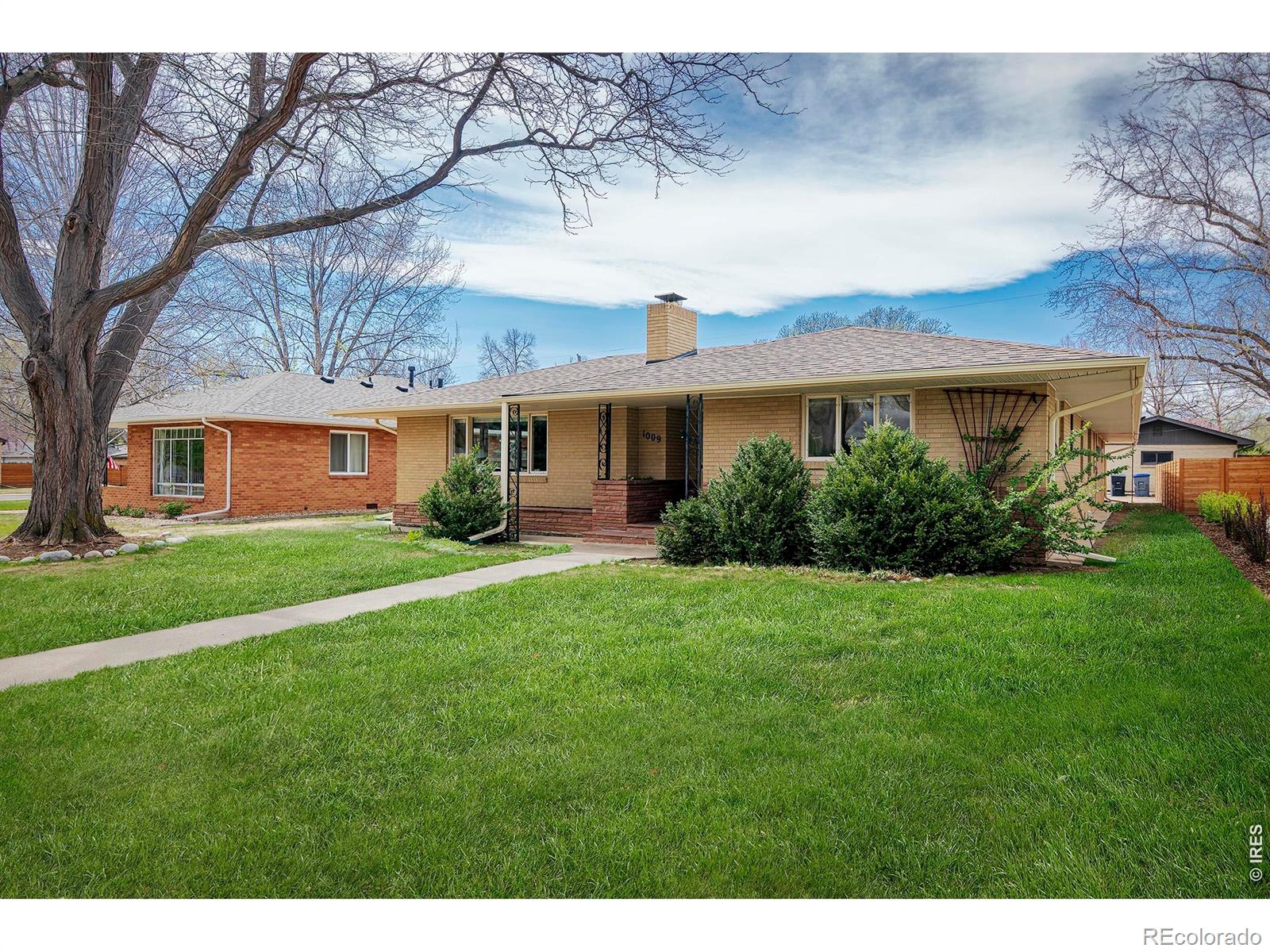 1009 Corey Street Longmont CO 80501