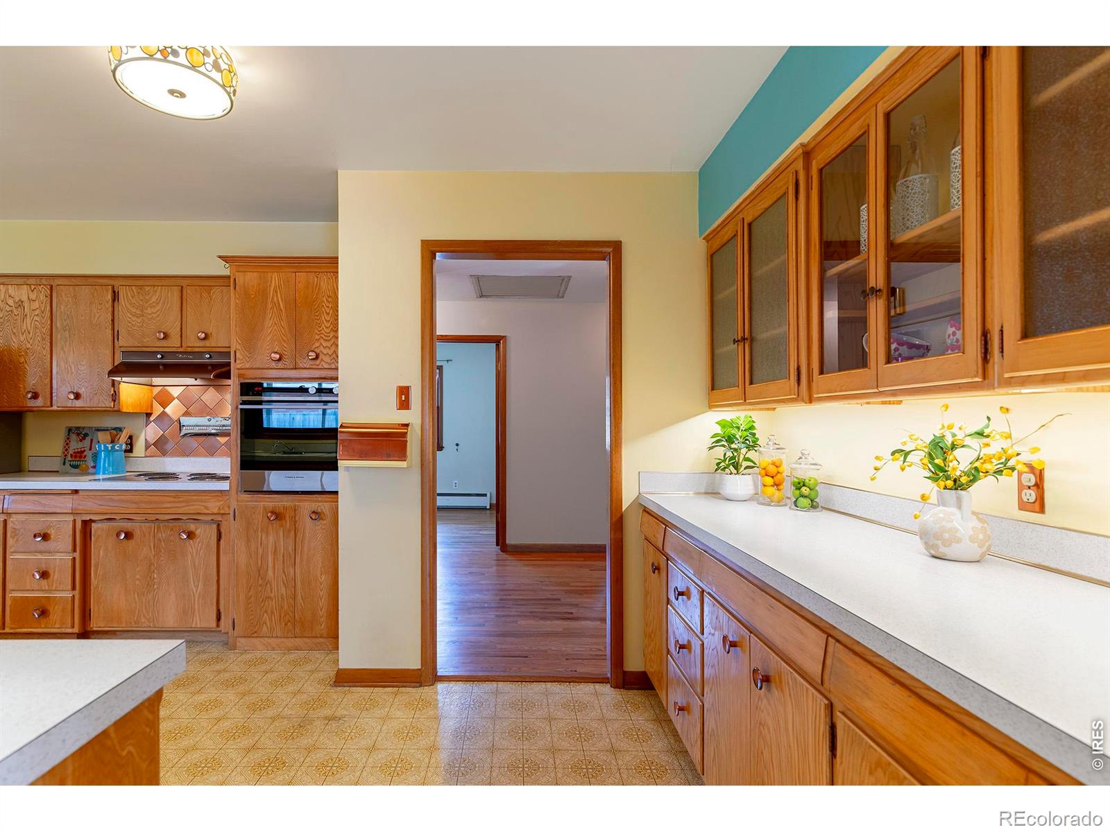 1009 Corey Street Longmont CO 80501