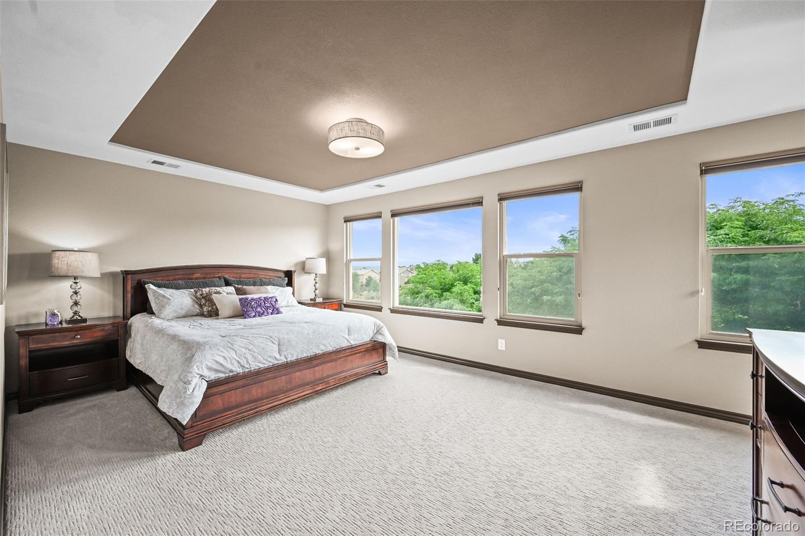 2980 Craig Court Castle Rock CO 80109