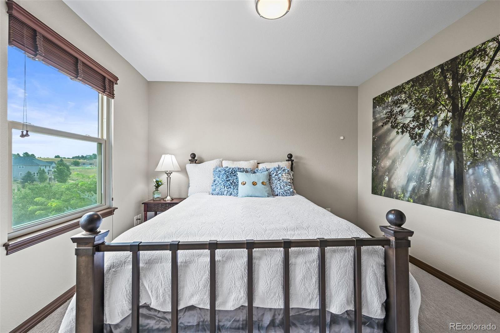 2980 Craig Court Castle Rock CO 80109