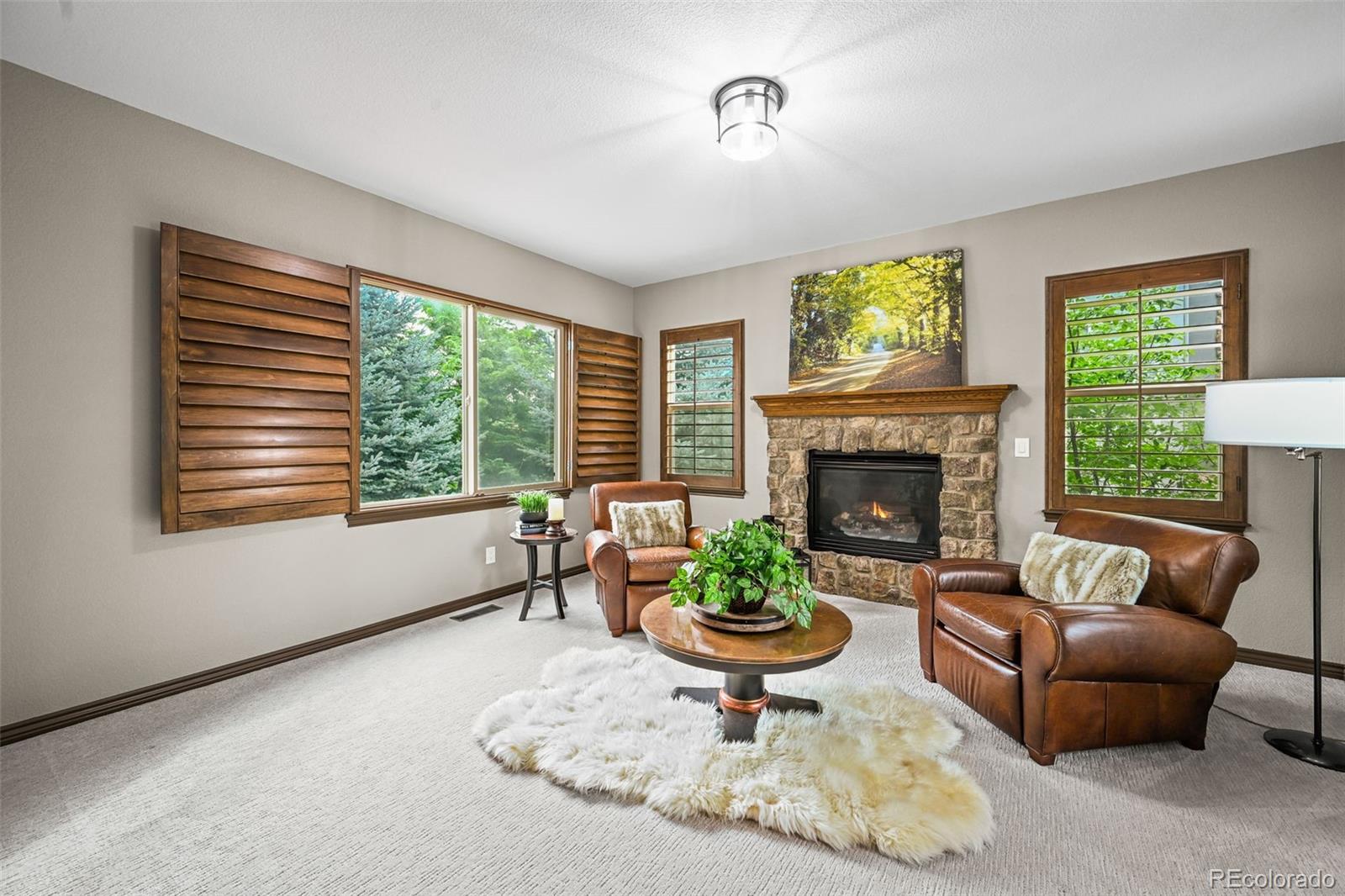 2980 Craig Court Castle Rock CO 80109