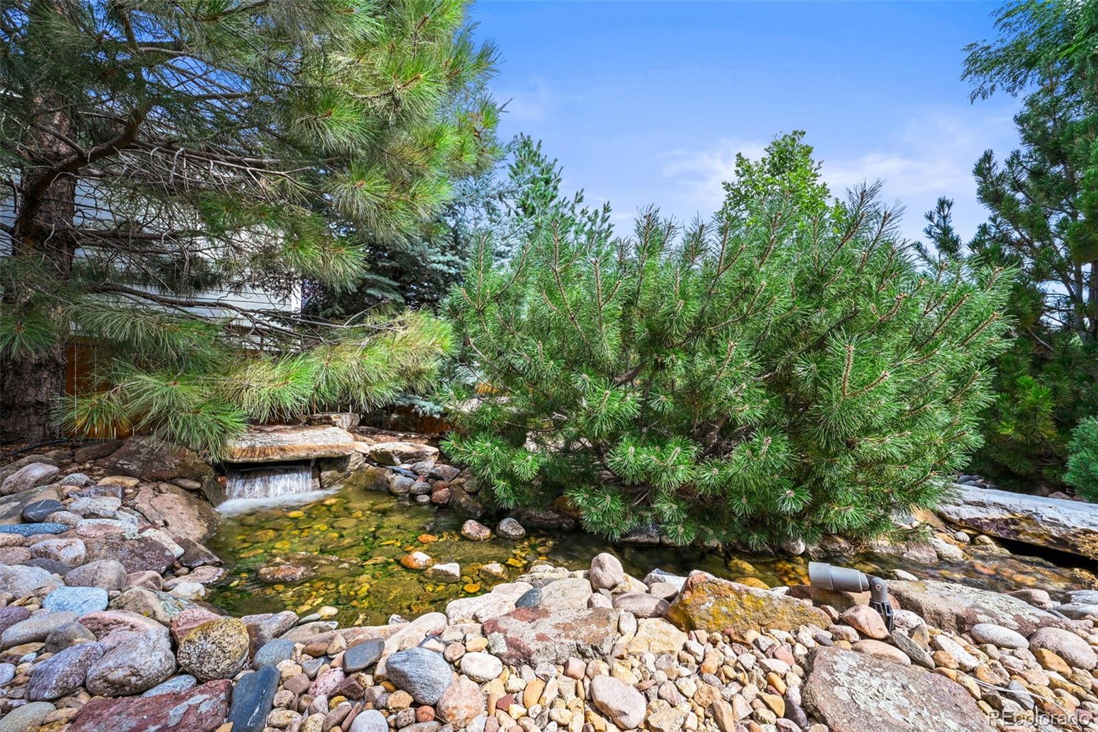 2980 Craig Court Castle Rock CO 80109