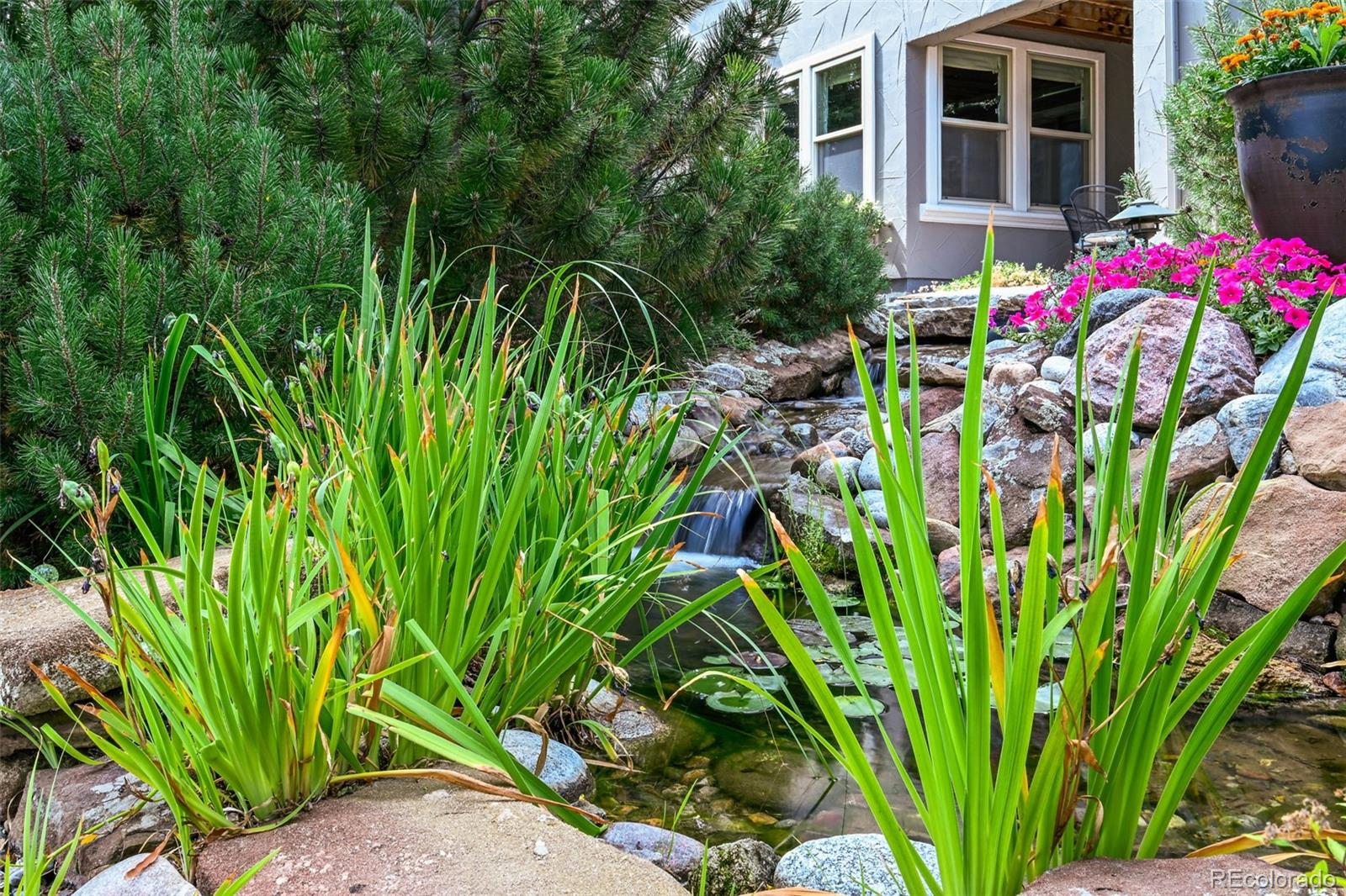 2980 Craig Court Castle Rock CO 80109