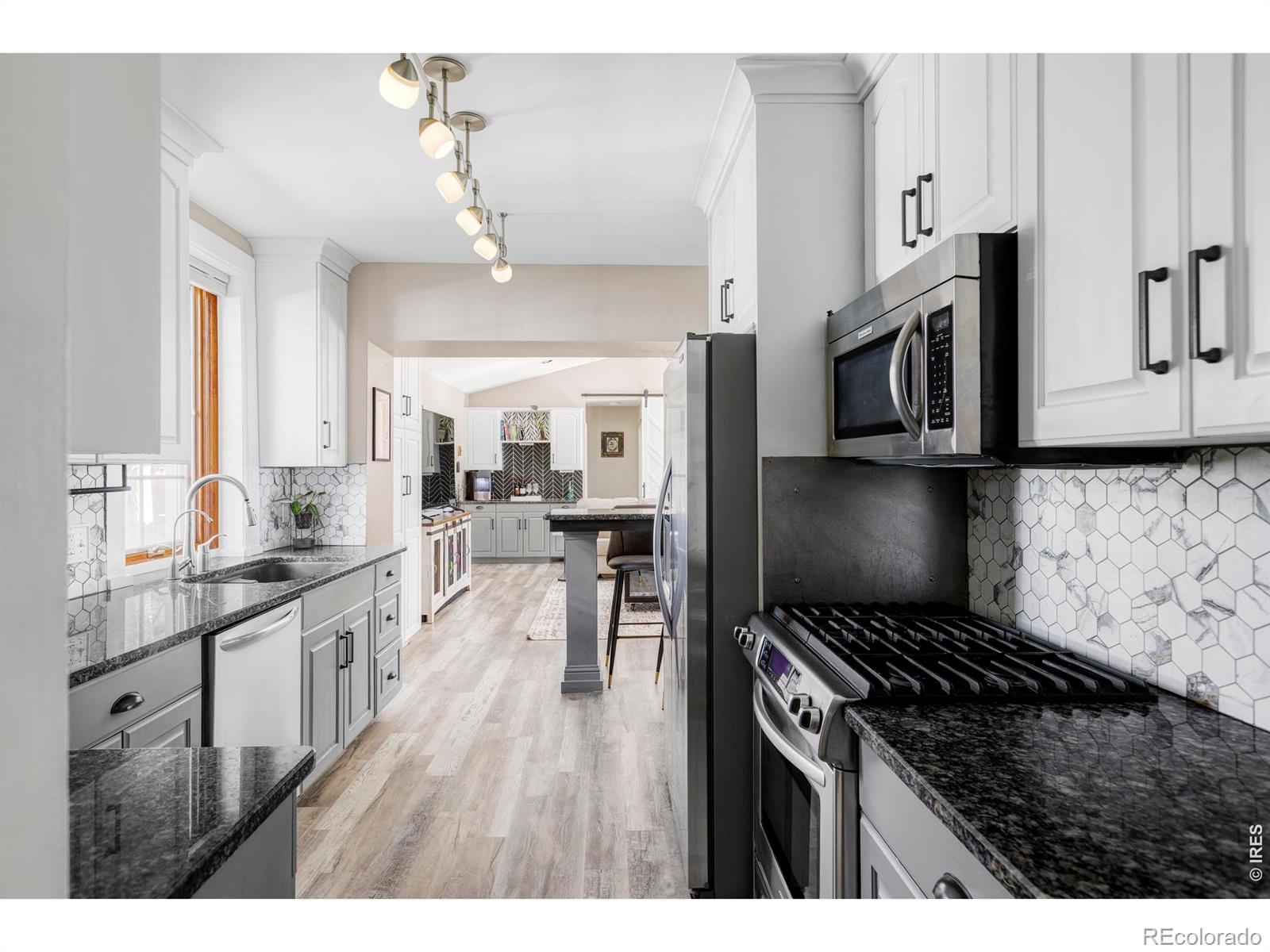 742 N Downing Street Denver CO 80218