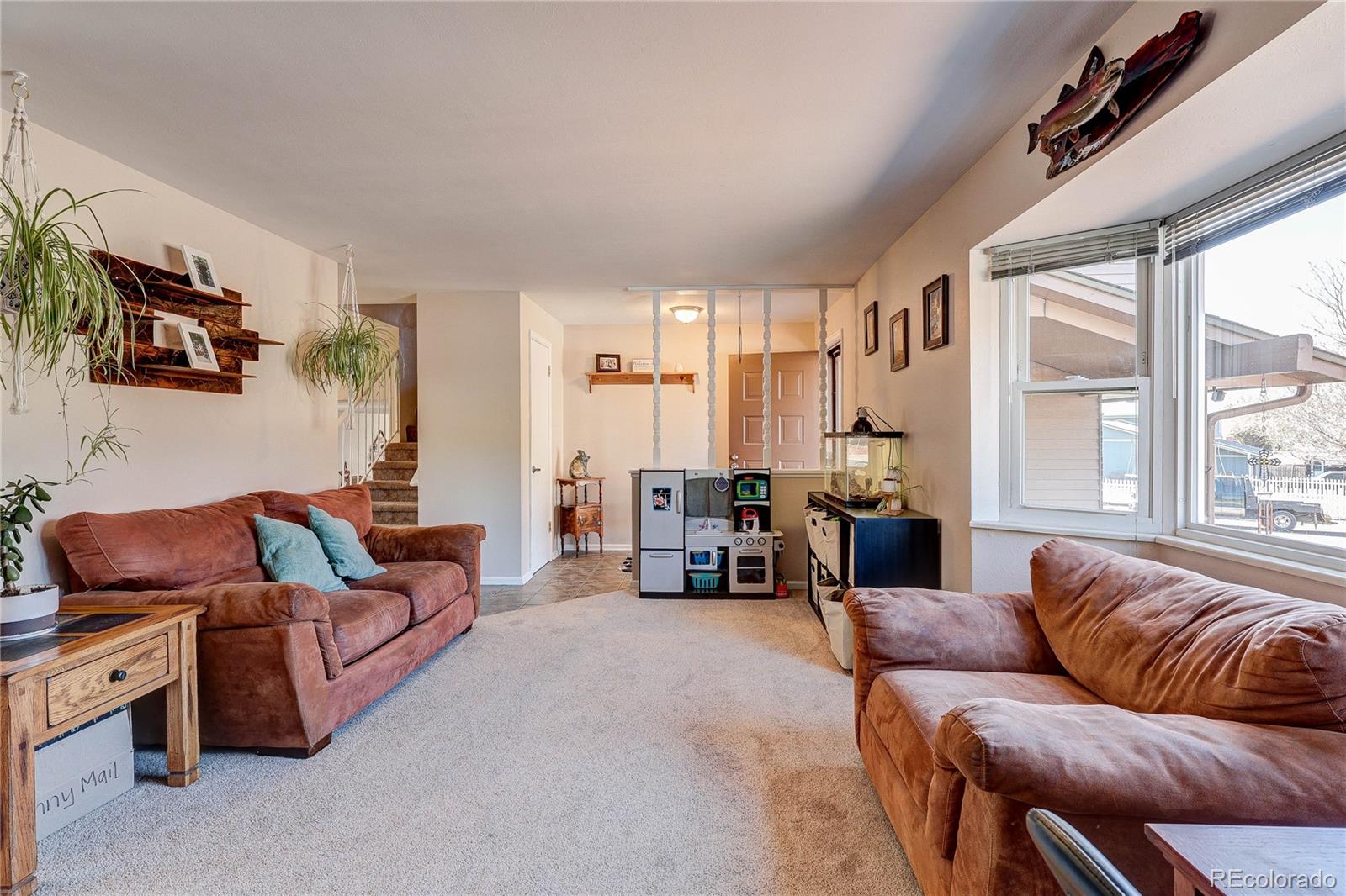 182 Johnson Drive Castle Rock CO 80104