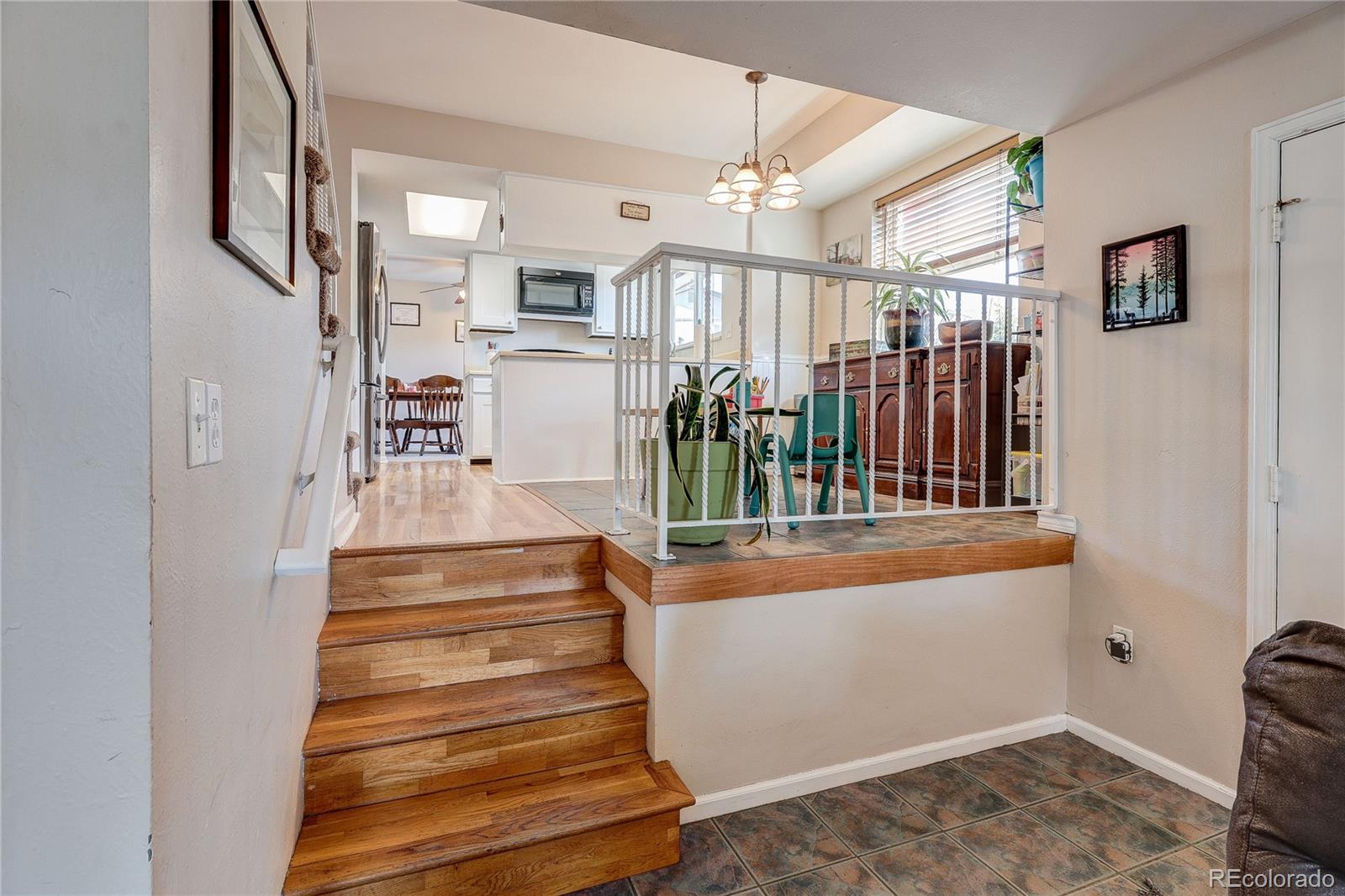 182 Johnson Drive Castle Rock CO 80104