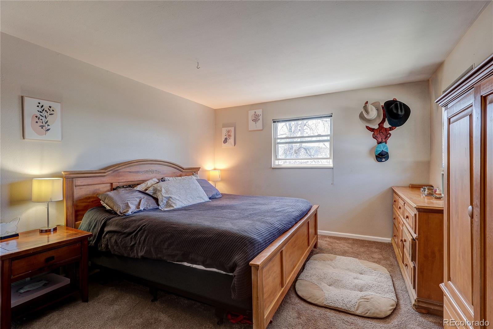 182 Johnson Drive Castle Rock CO 80104