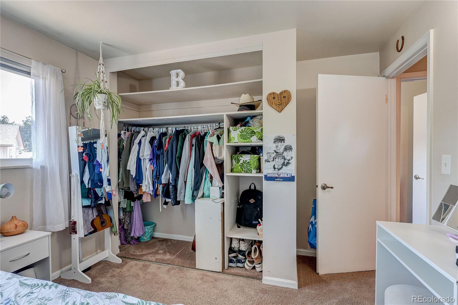 182 Johnson Drive Castle Rock CO 80104