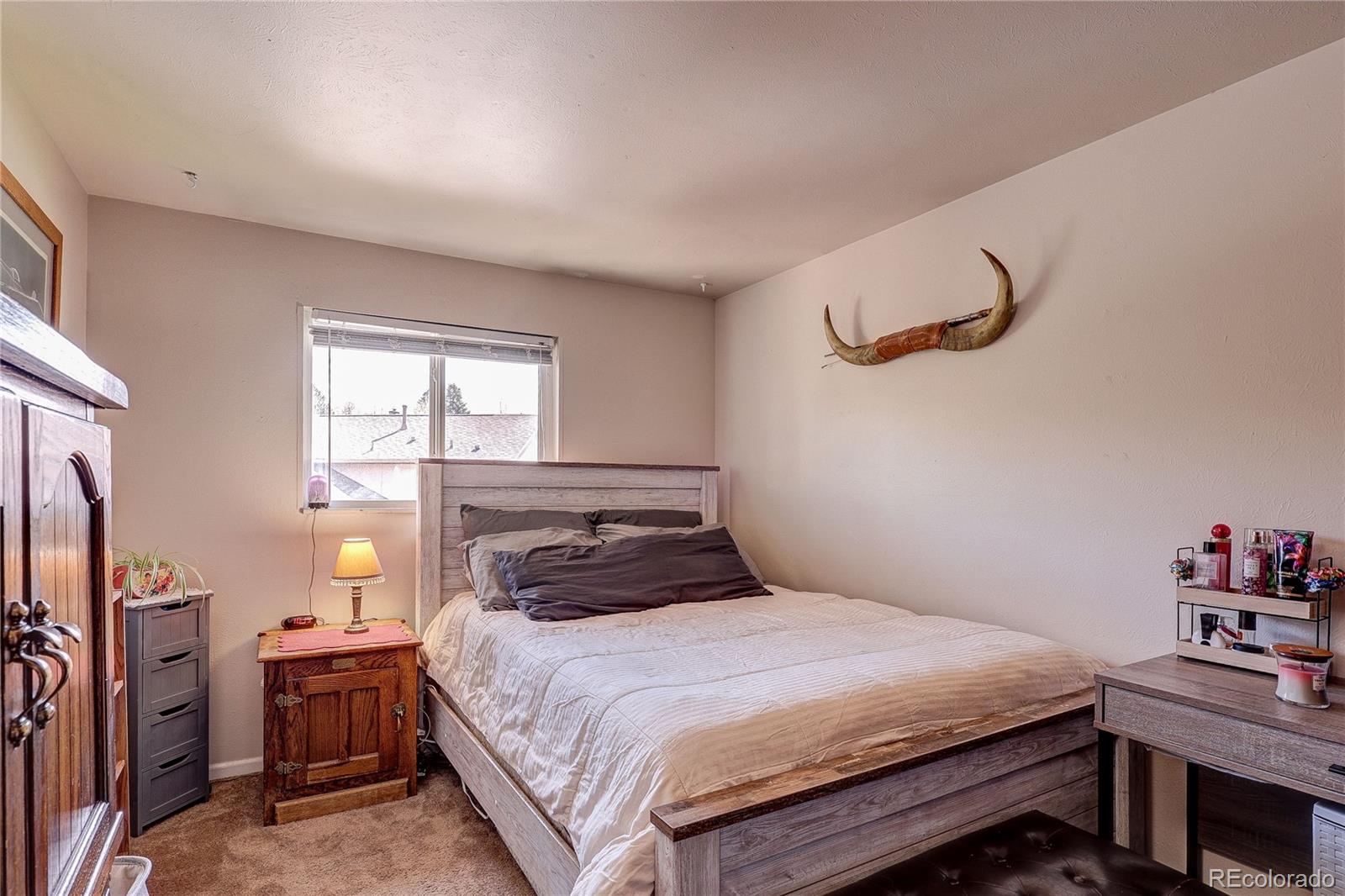 182 Johnson Drive Castle Rock CO 80104