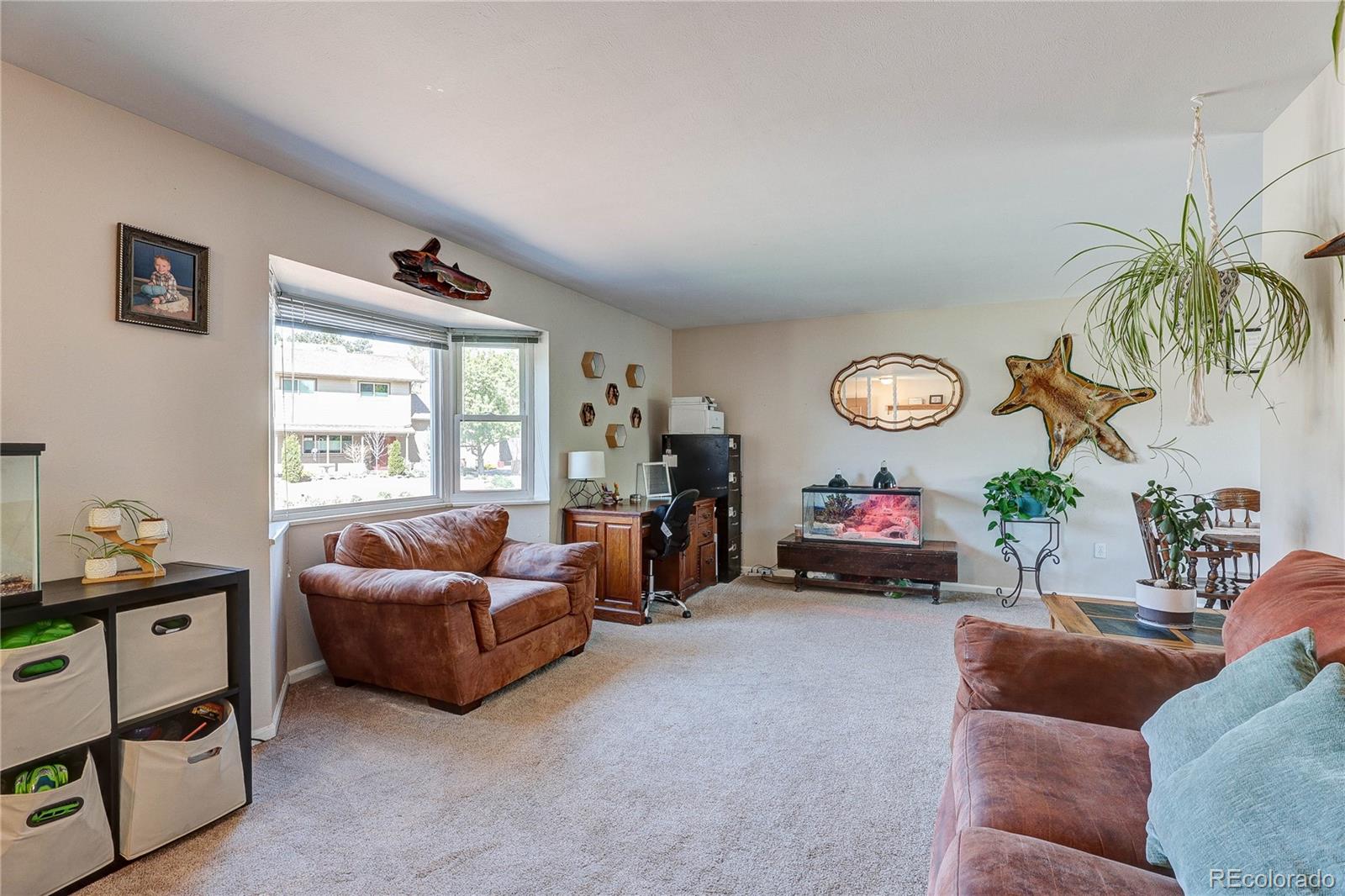 182 Johnson Drive Castle Rock CO 80104