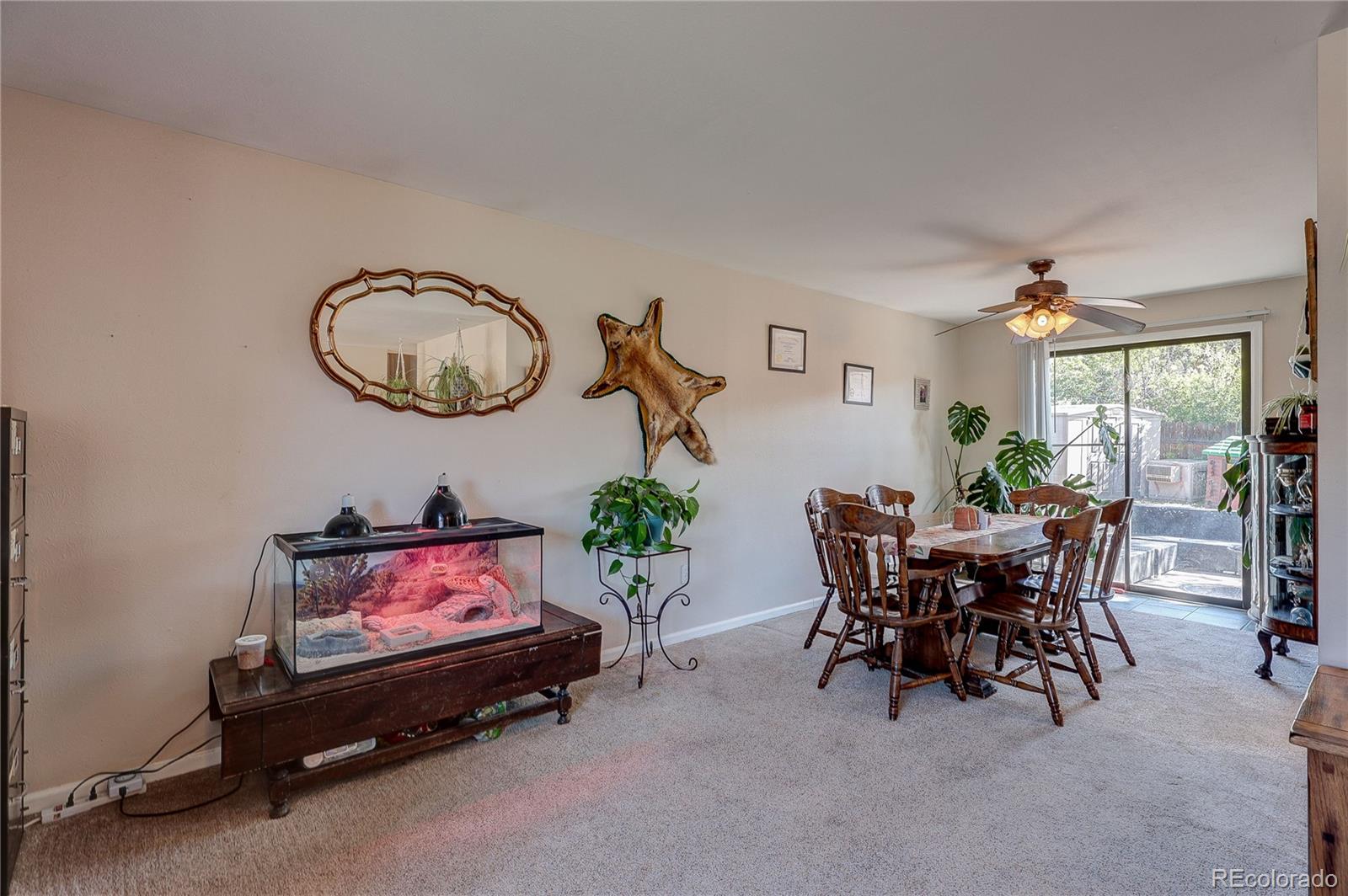 182 Johnson Drive Castle Rock CO 80104