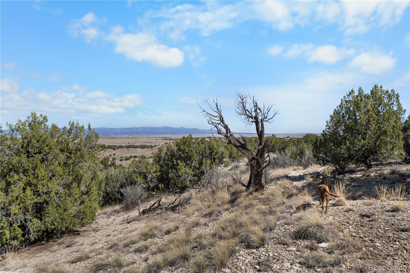 965 Newton Road Pueblo CO 81005