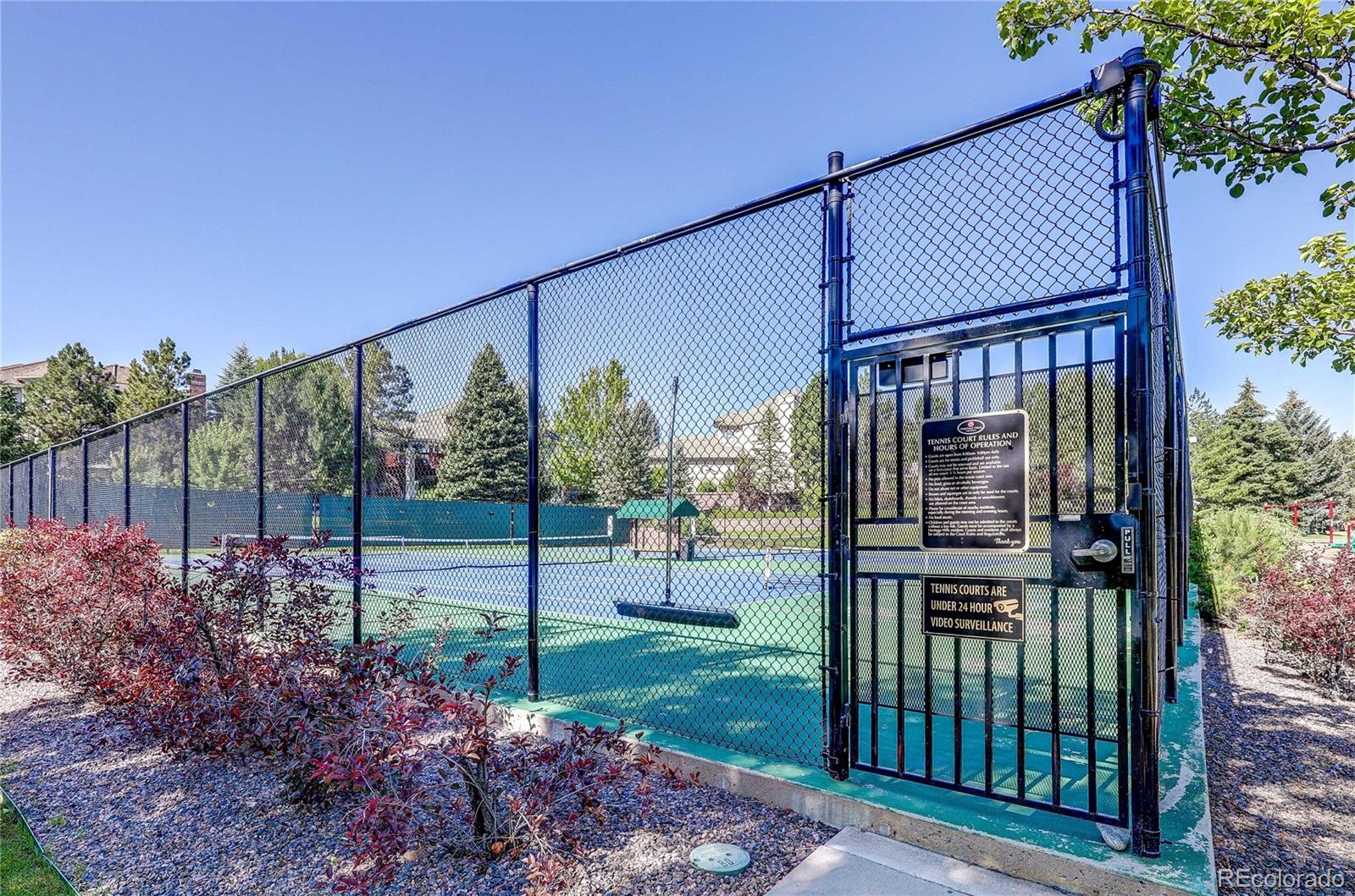 9591 Sunset Hill Drive Lone Tree CO 80124