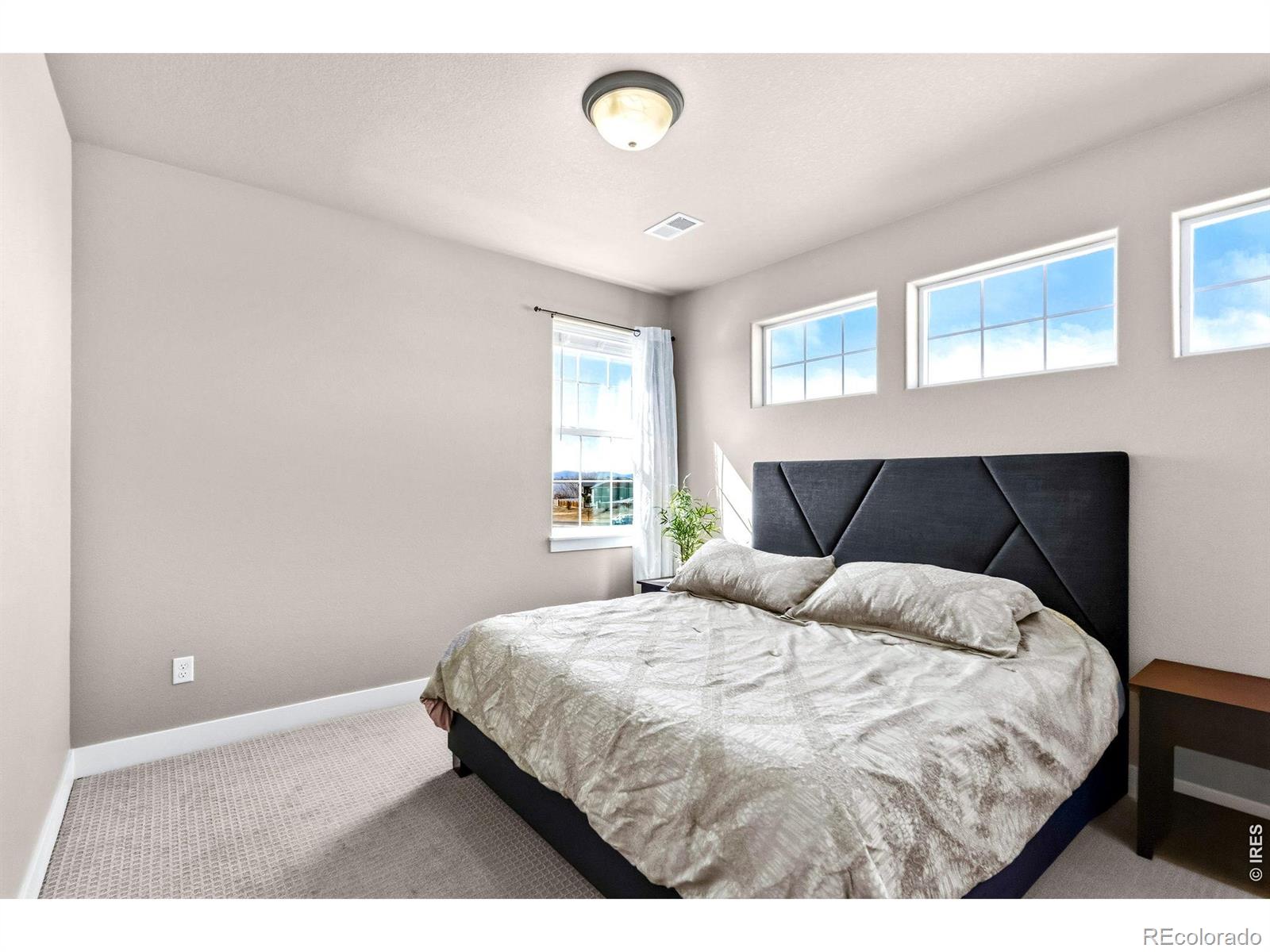 1440 Markhor Drive Severance CO 80550