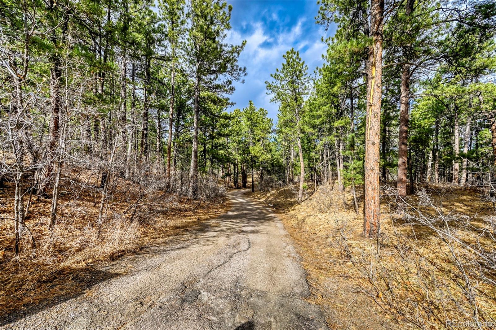 3392 Estates Circle Larkspur CO 80118