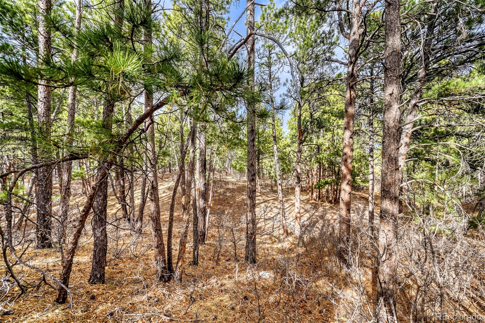 3392 Estates Circle Larkspur CO 80118