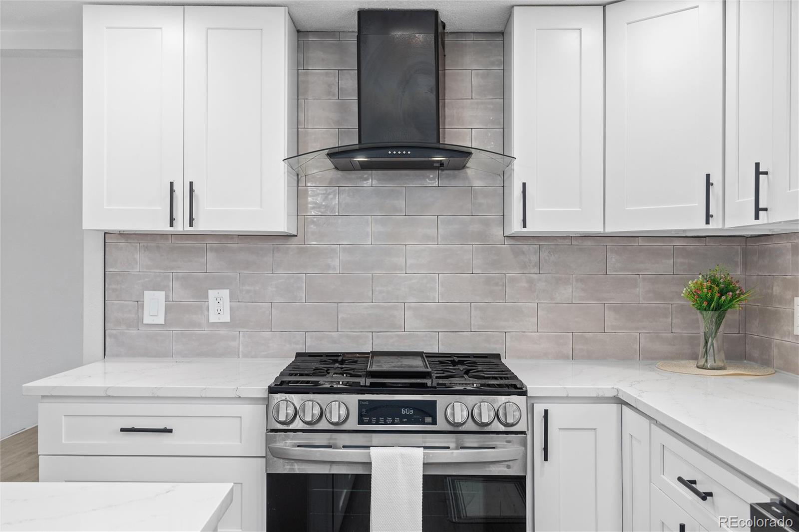 2042 S Moline Way Aurora CO 80014