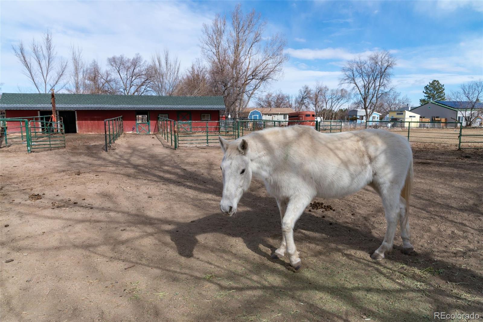 6263 Laodicea Road Longmont CO 80503