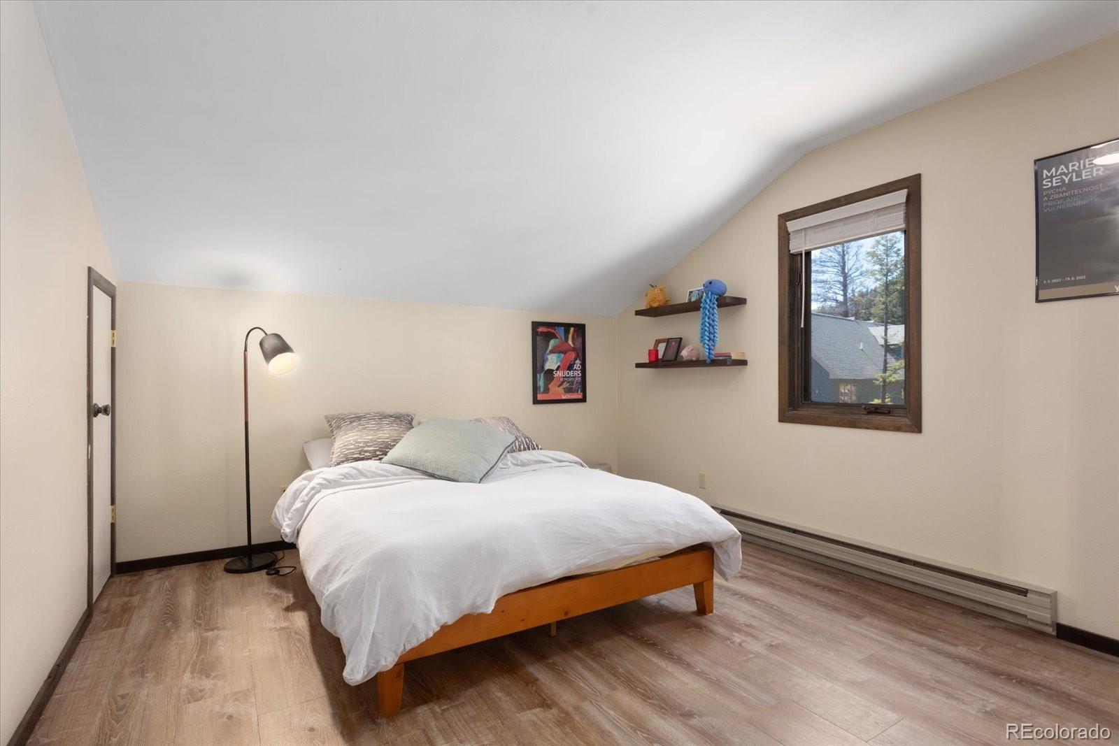 18898 Monte Escondido Court Buena Vista CO 81211