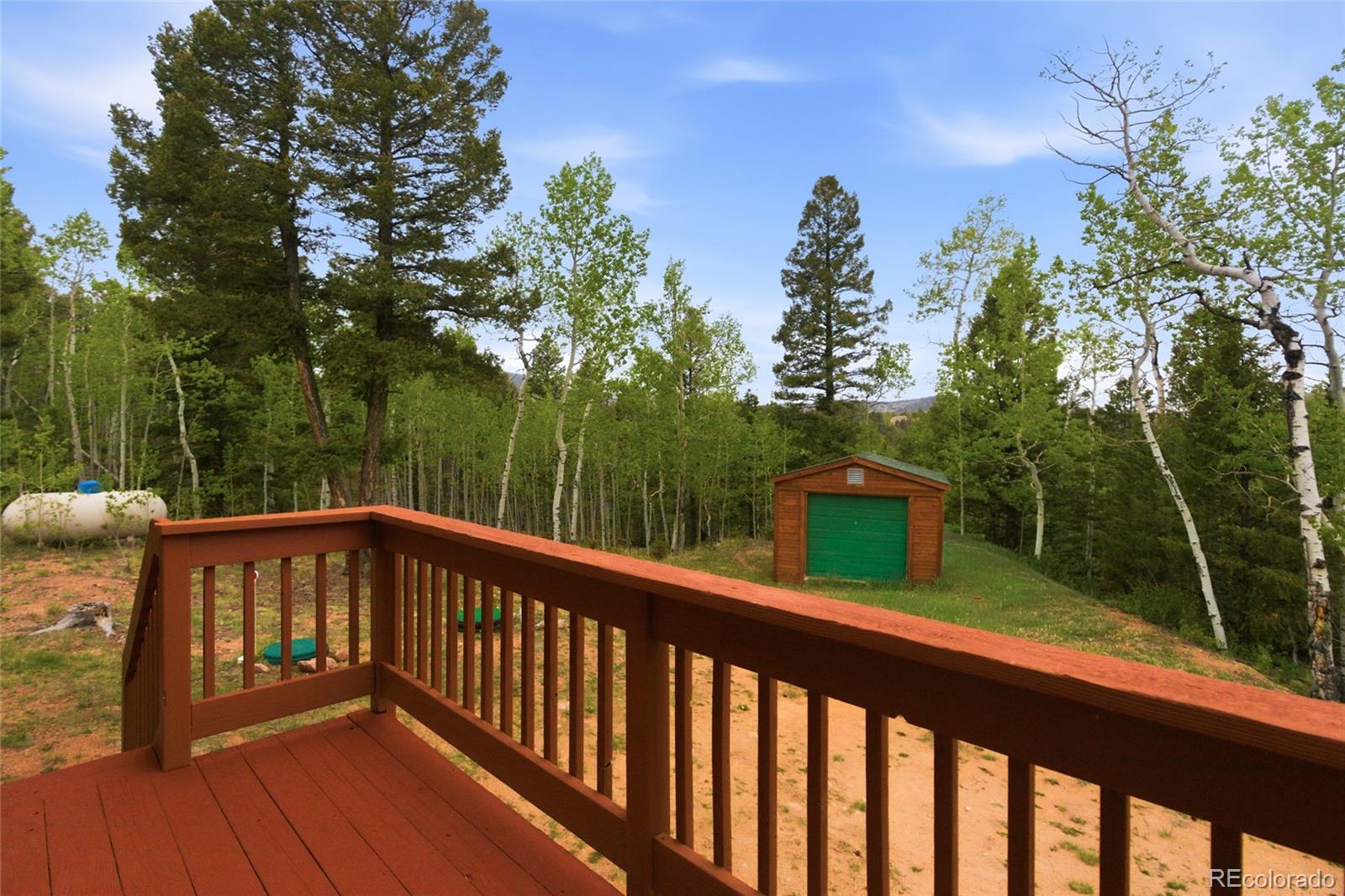 290 Eagle Rock Road Florissant CO 80816