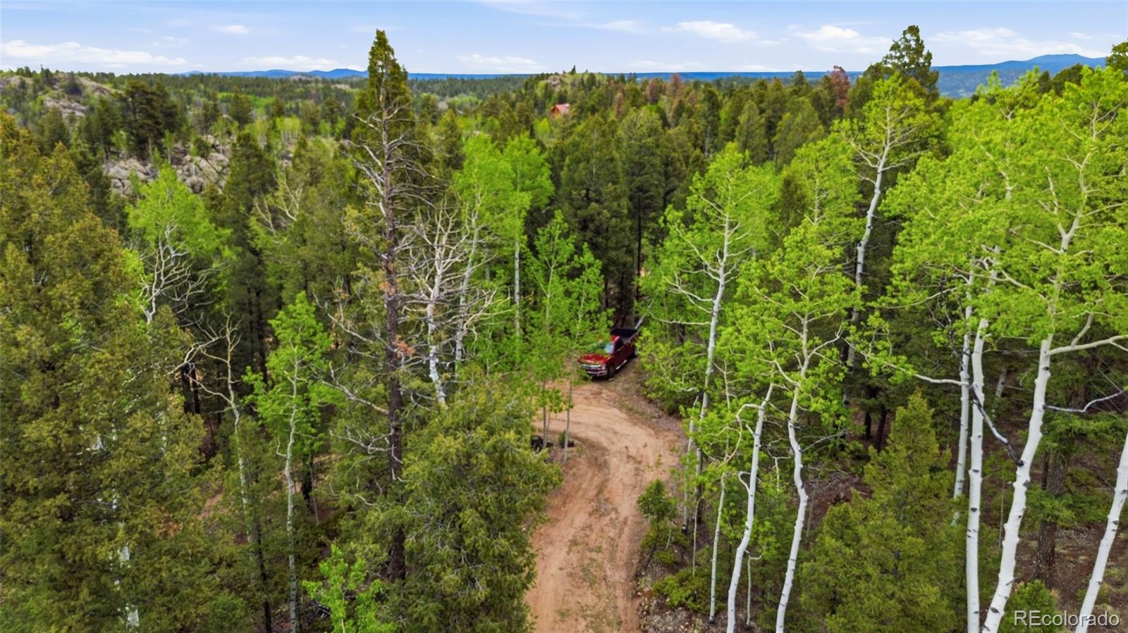 290 Eagle Rock Road Florissant CO 80816