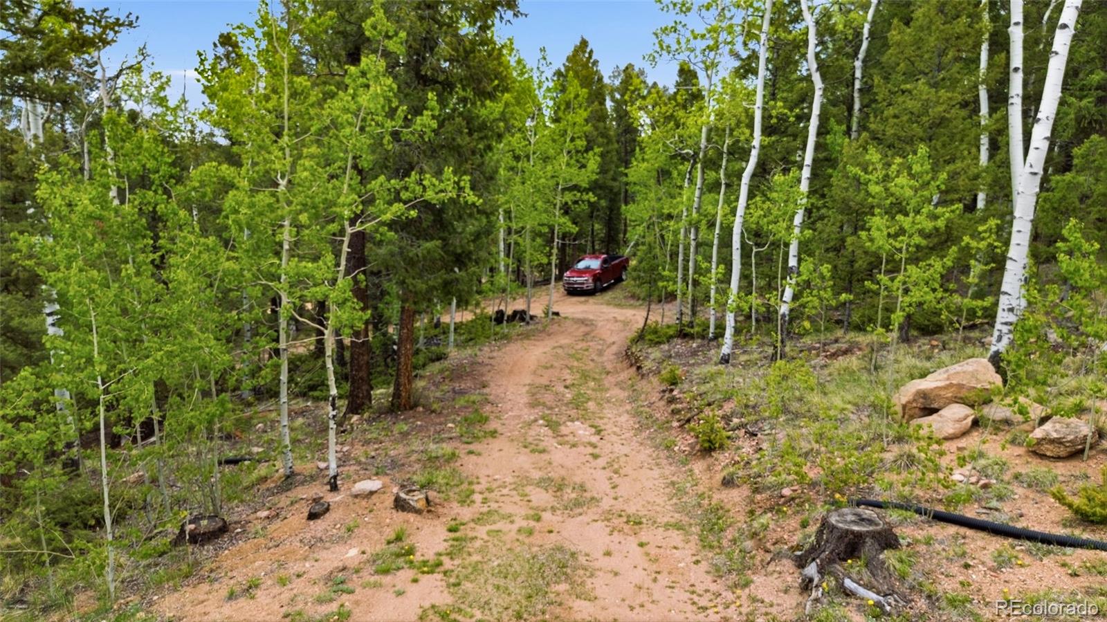 290 Eagle Rock Road Florissant CO 80816