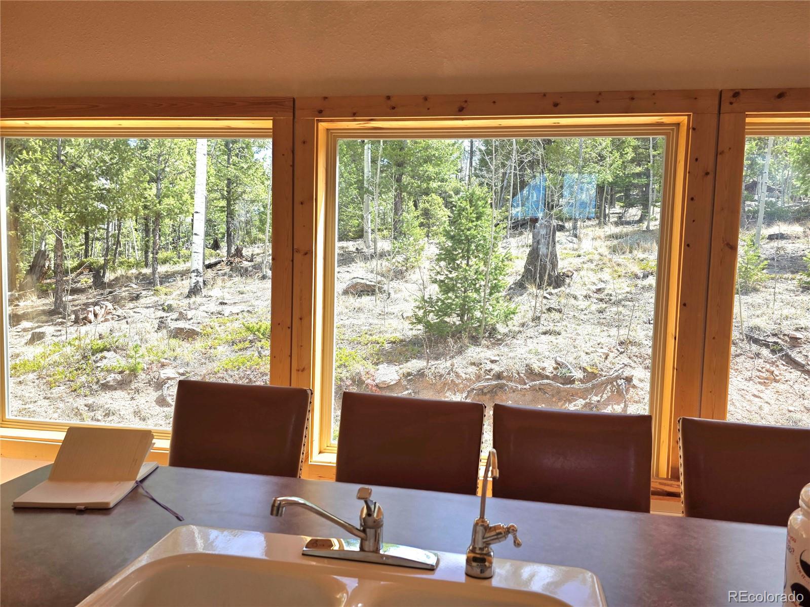 290 Eagle Rock Road Florissant CO 80816