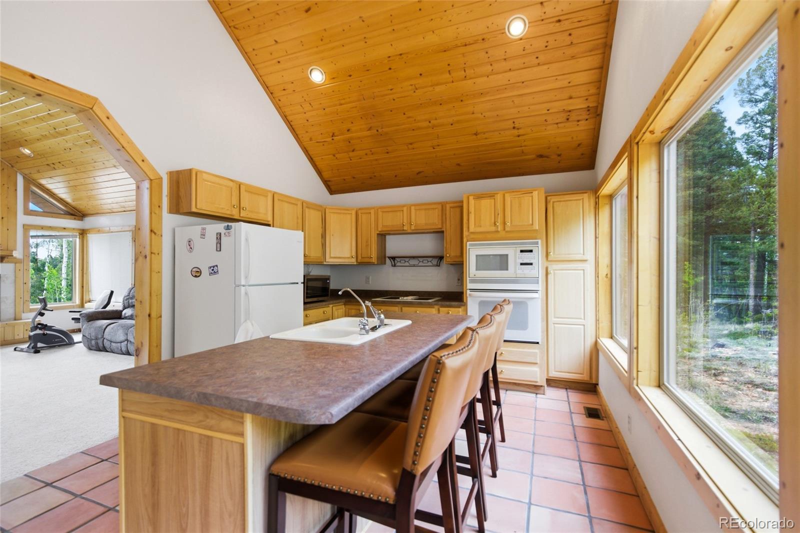 290 Eagle Rock Road Florissant CO 80816