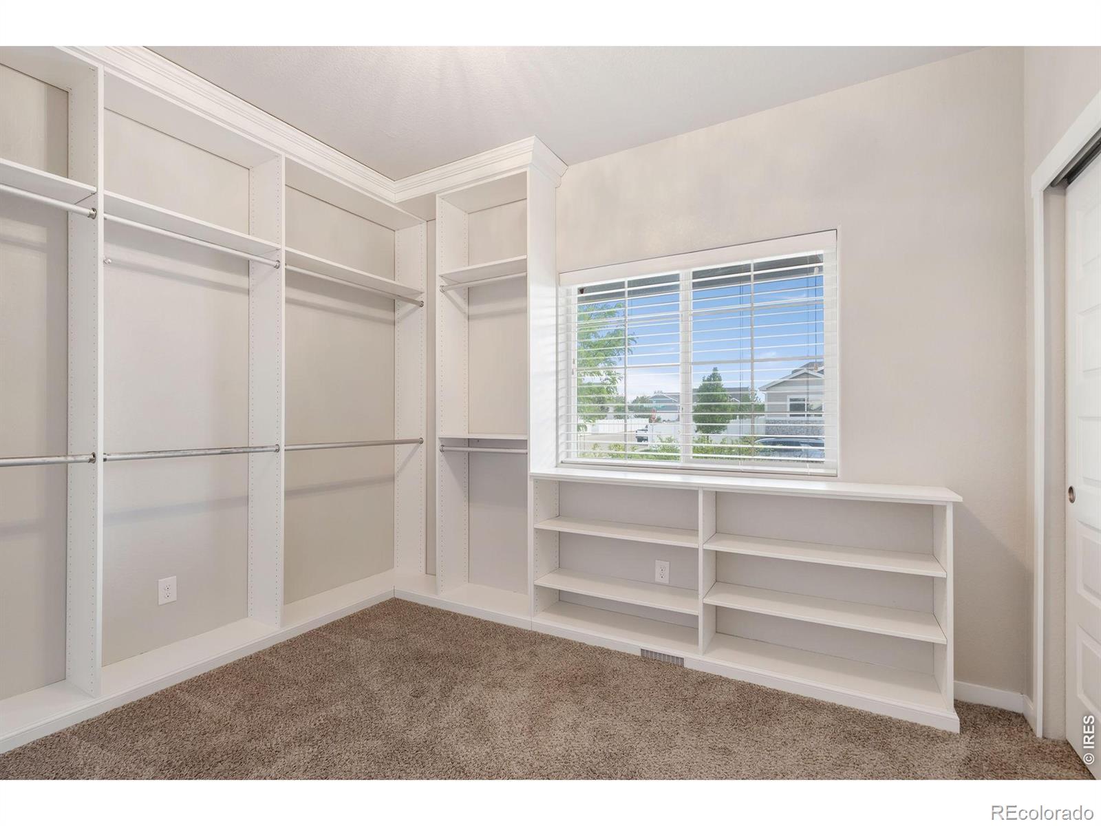 5486 Maidenhead Drive Windsor CO 80550
