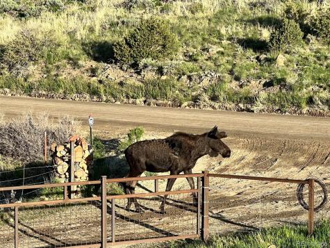 1053 & 1055 County Road 200 Poncha Springs CO 81242