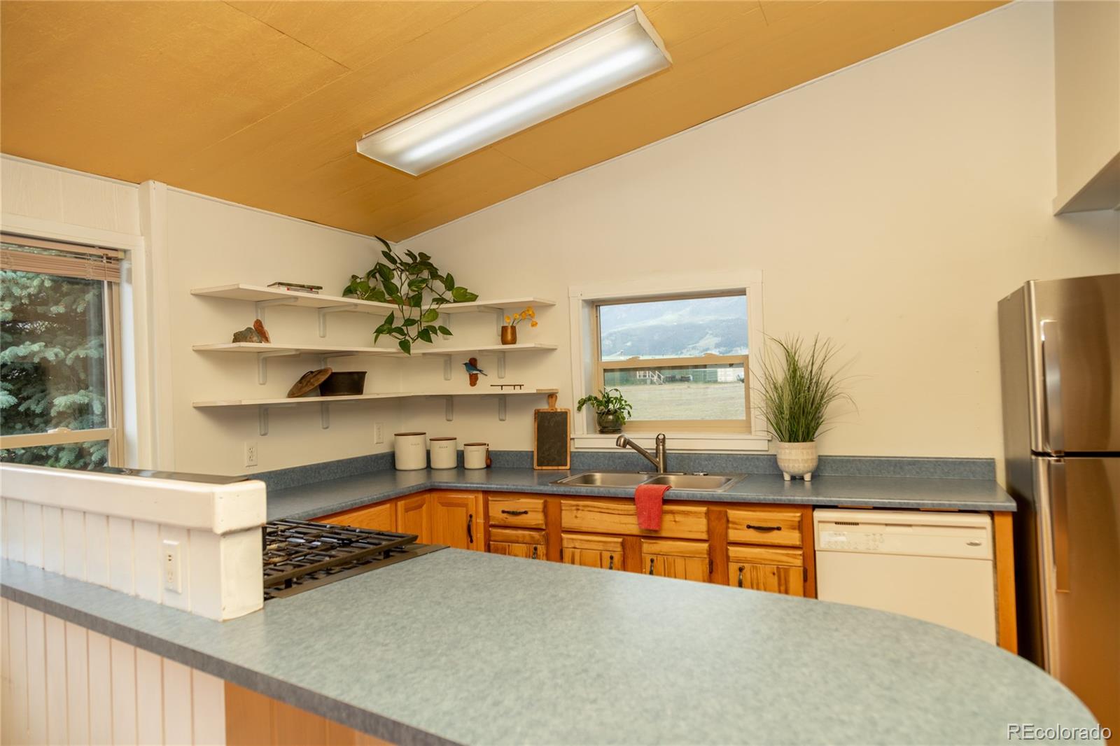 507 Ridge Drive Creede CO 81130