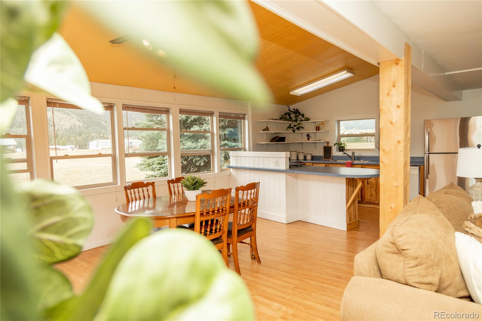 507 Ridge Drive Creede CO 81130