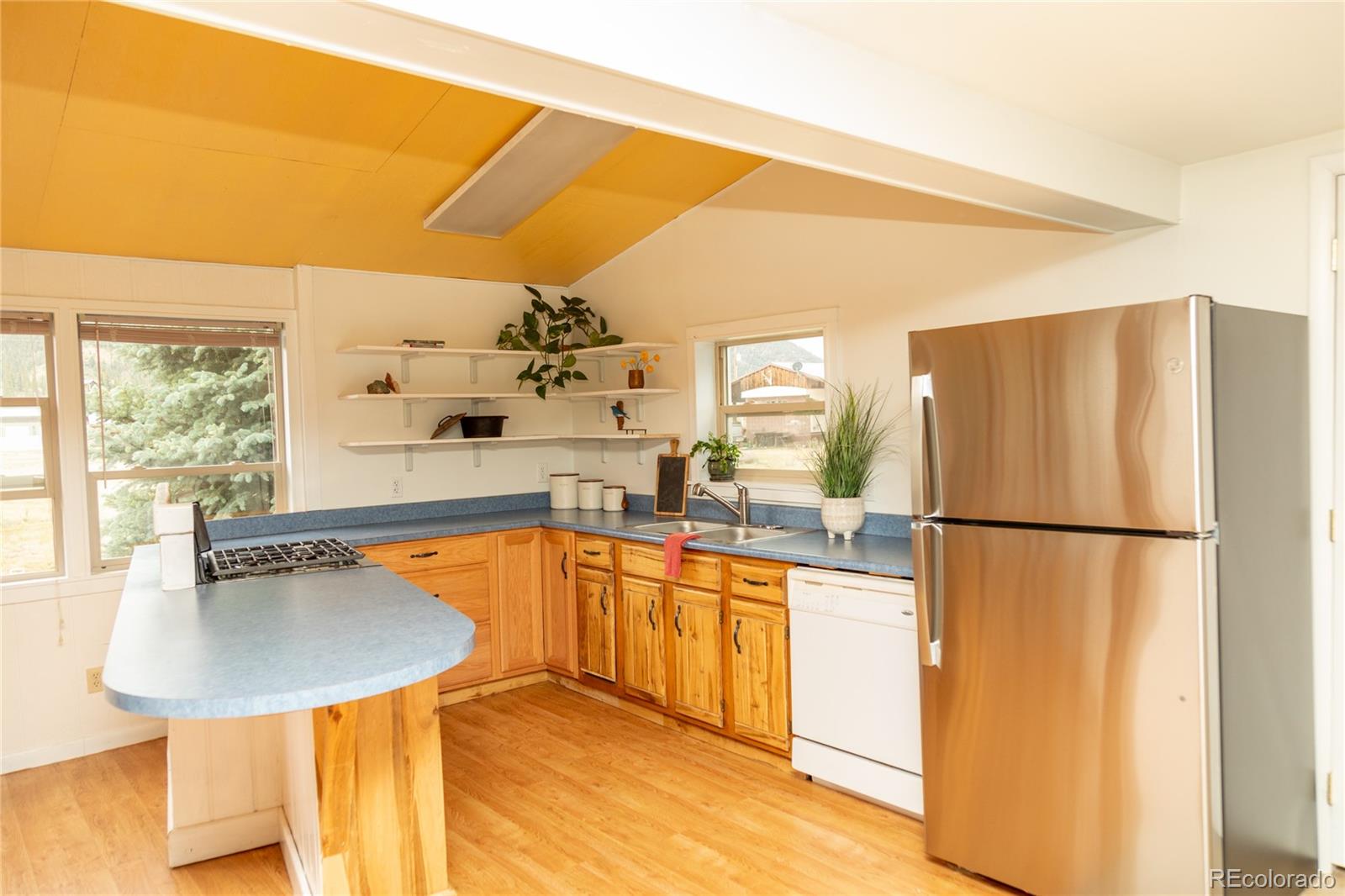 507 Ridge Drive Creede CO 81130