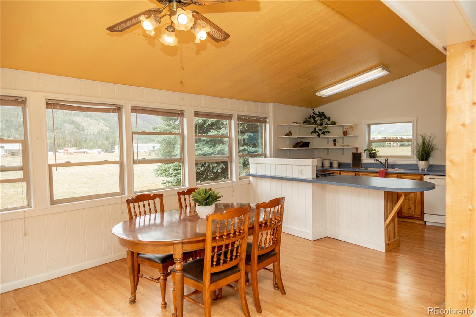 507 Ridge Drive Creede CO 81130