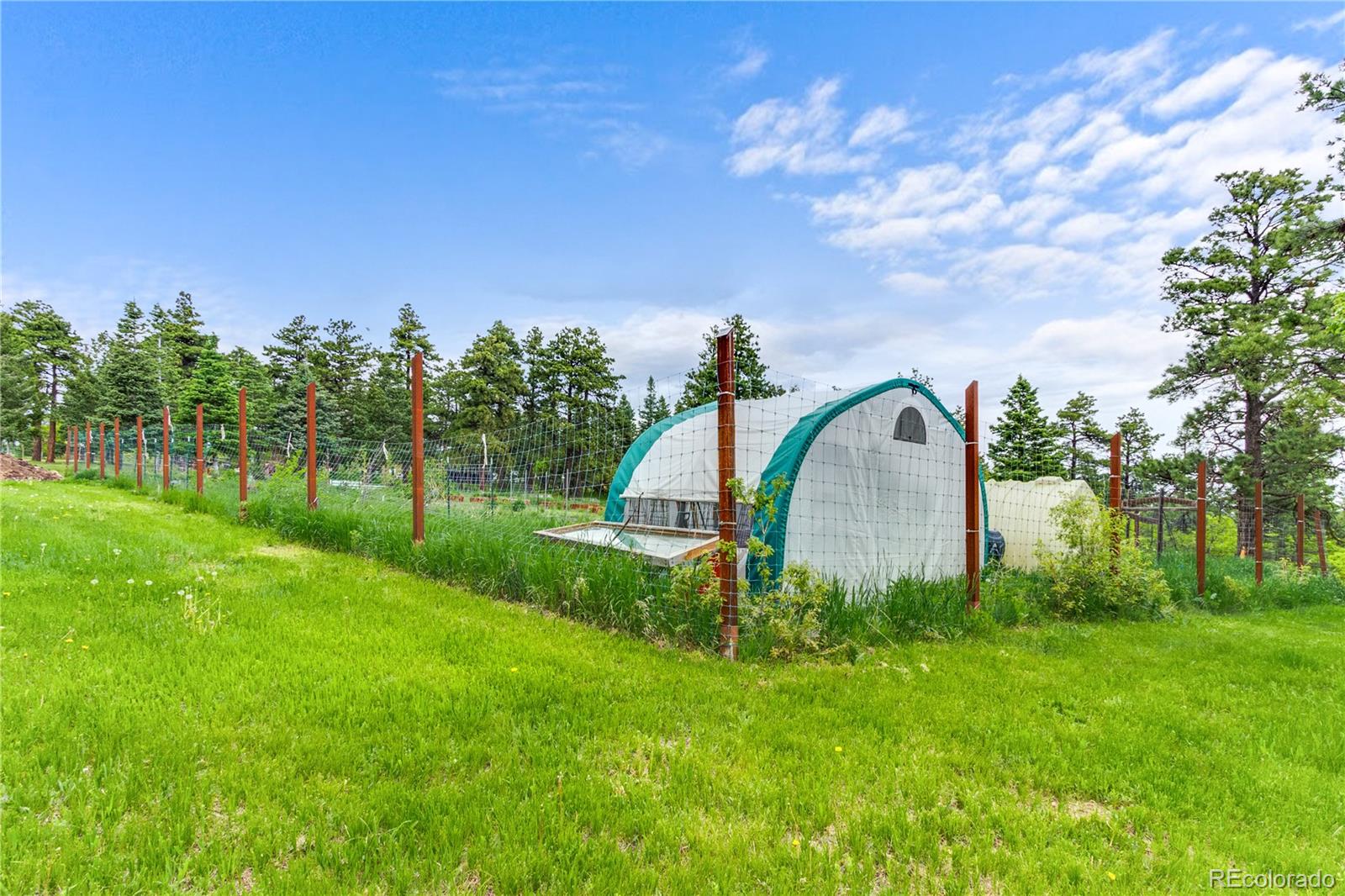 8834 Deiffendeffer Road Rye CO 81069