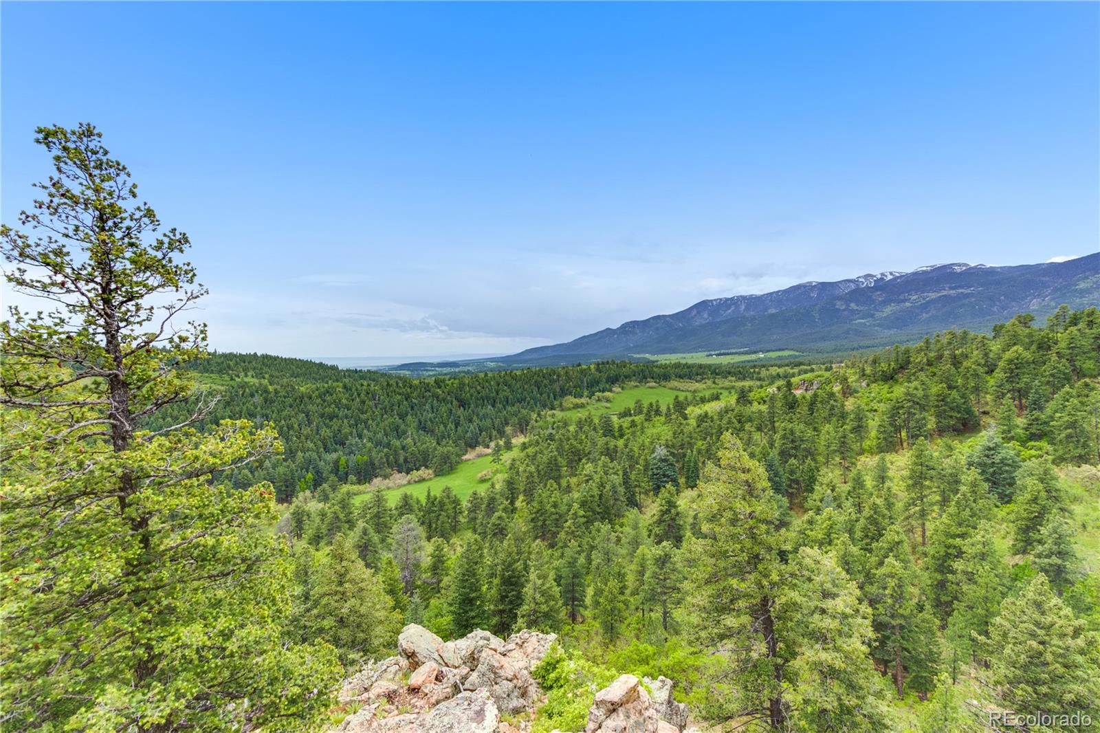 8834 Deiffendeffer Road Rye CO 81069