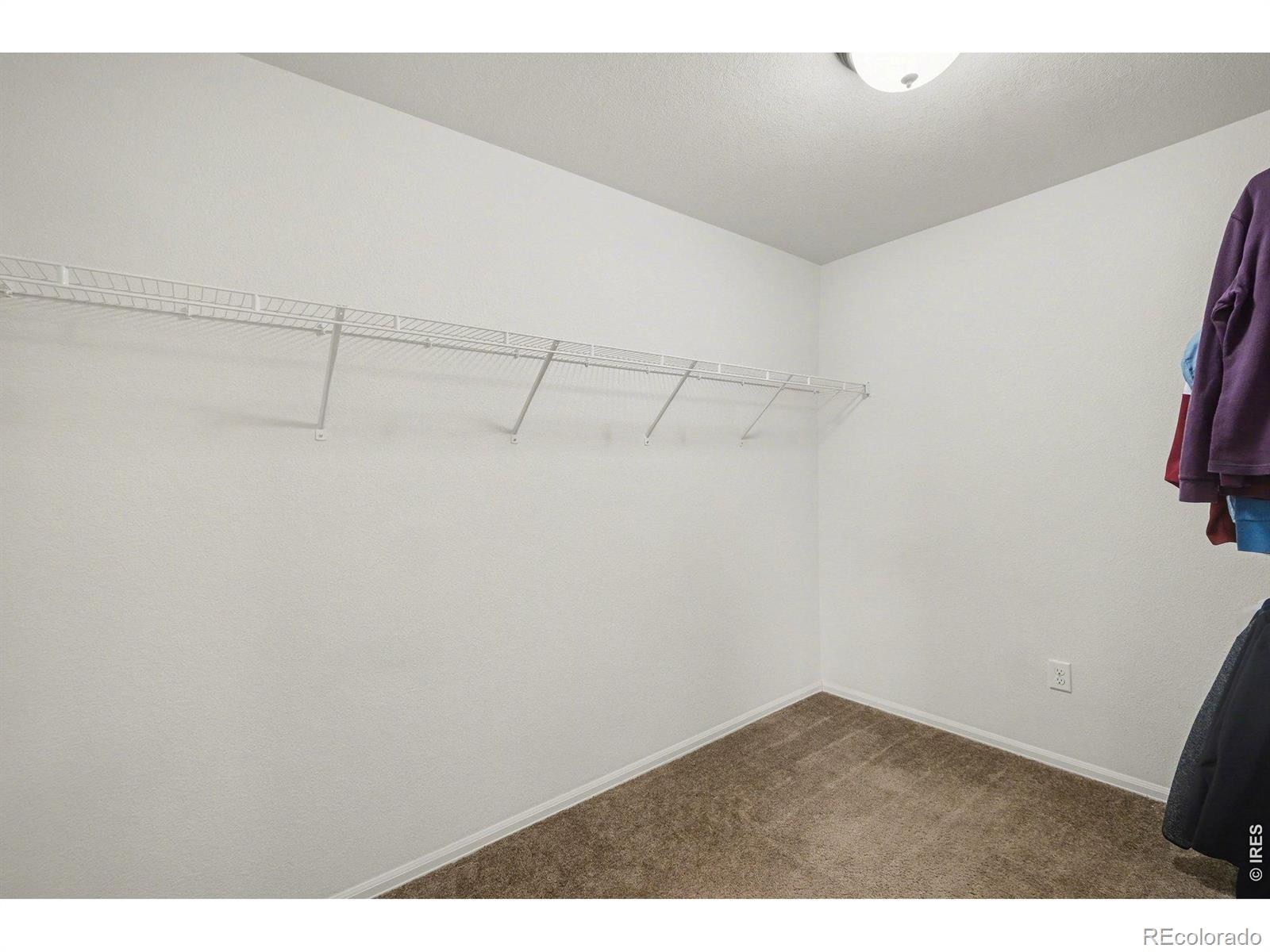 1542 Woodcock Street Berthoud CO 80513