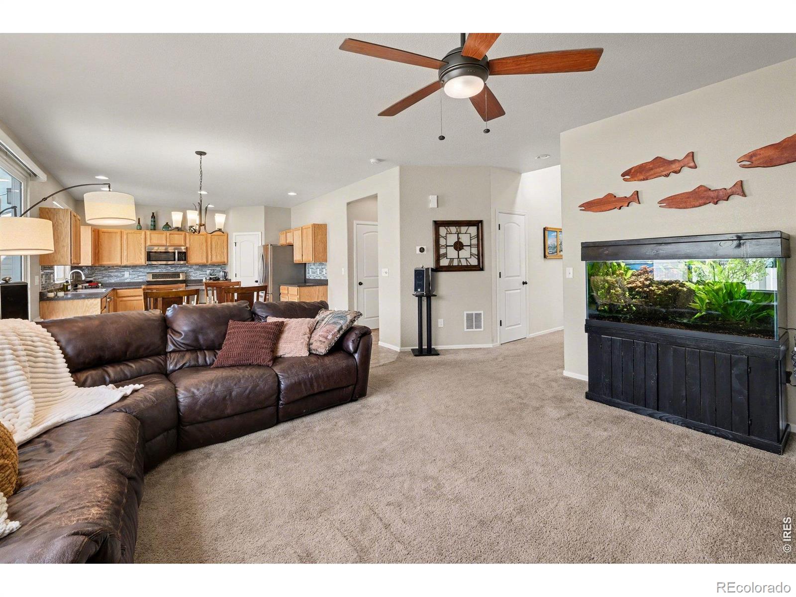 1542 Woodcock Street Berthoud CO 80513