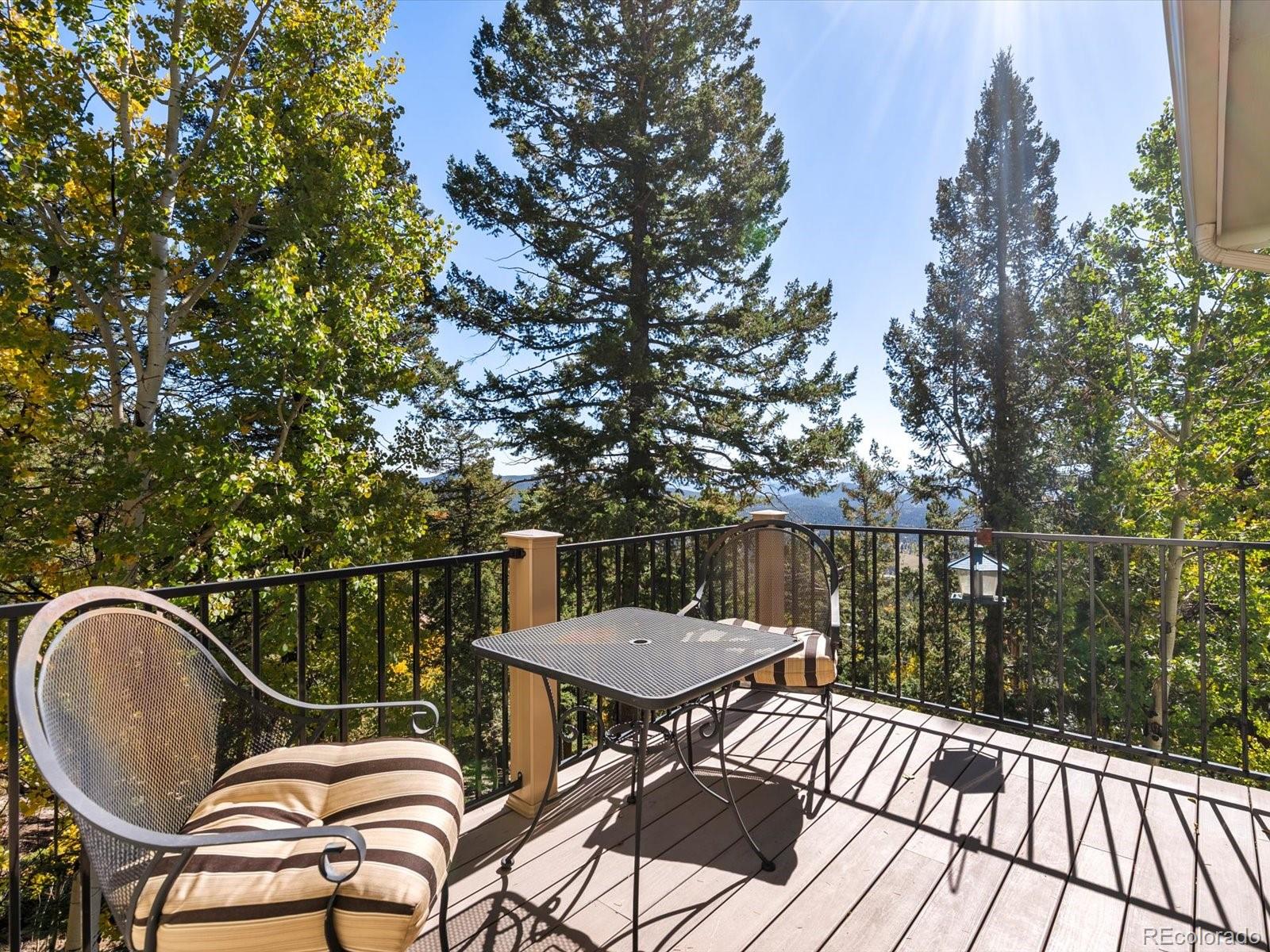 11630 Baca Road Conifer CO 80433