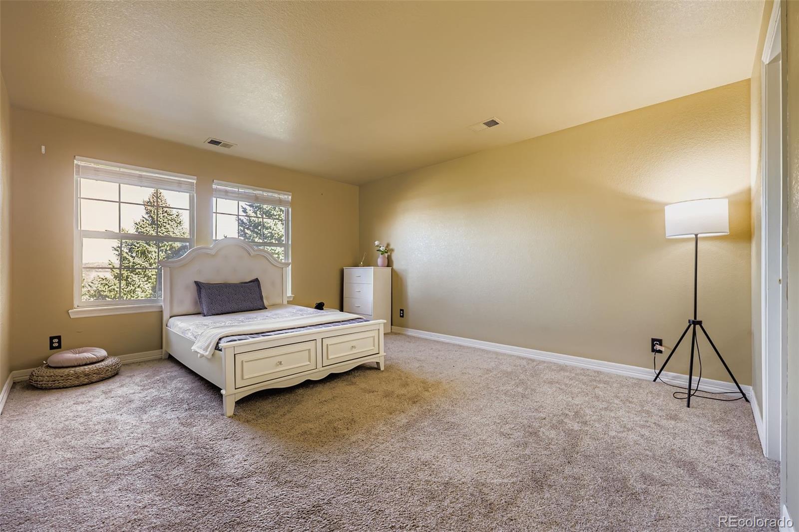 3277 Coyote Hills Way Castle Rock CO 80109