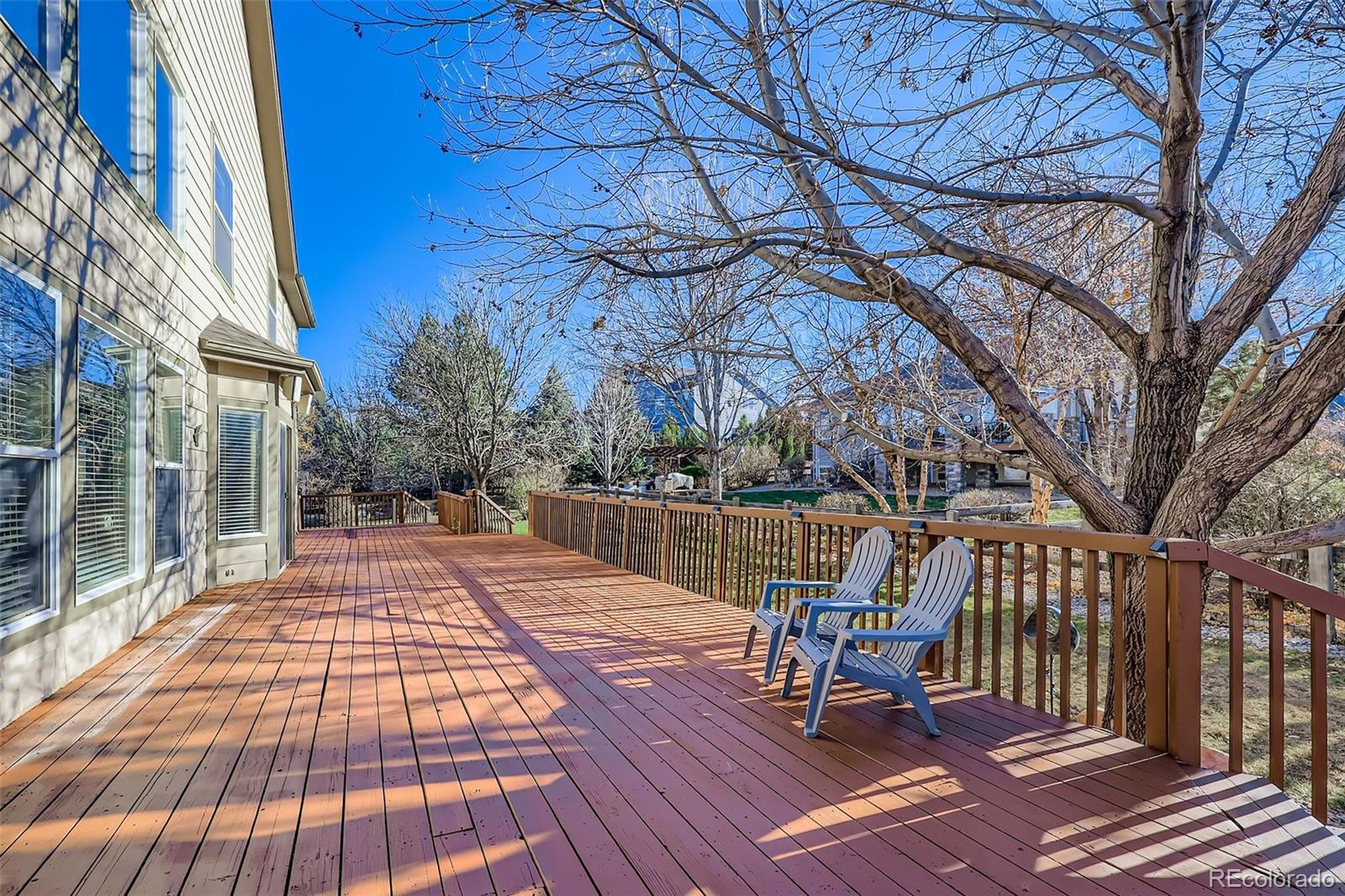 3277 Coyote Hills Way Castle Rock CO 80109