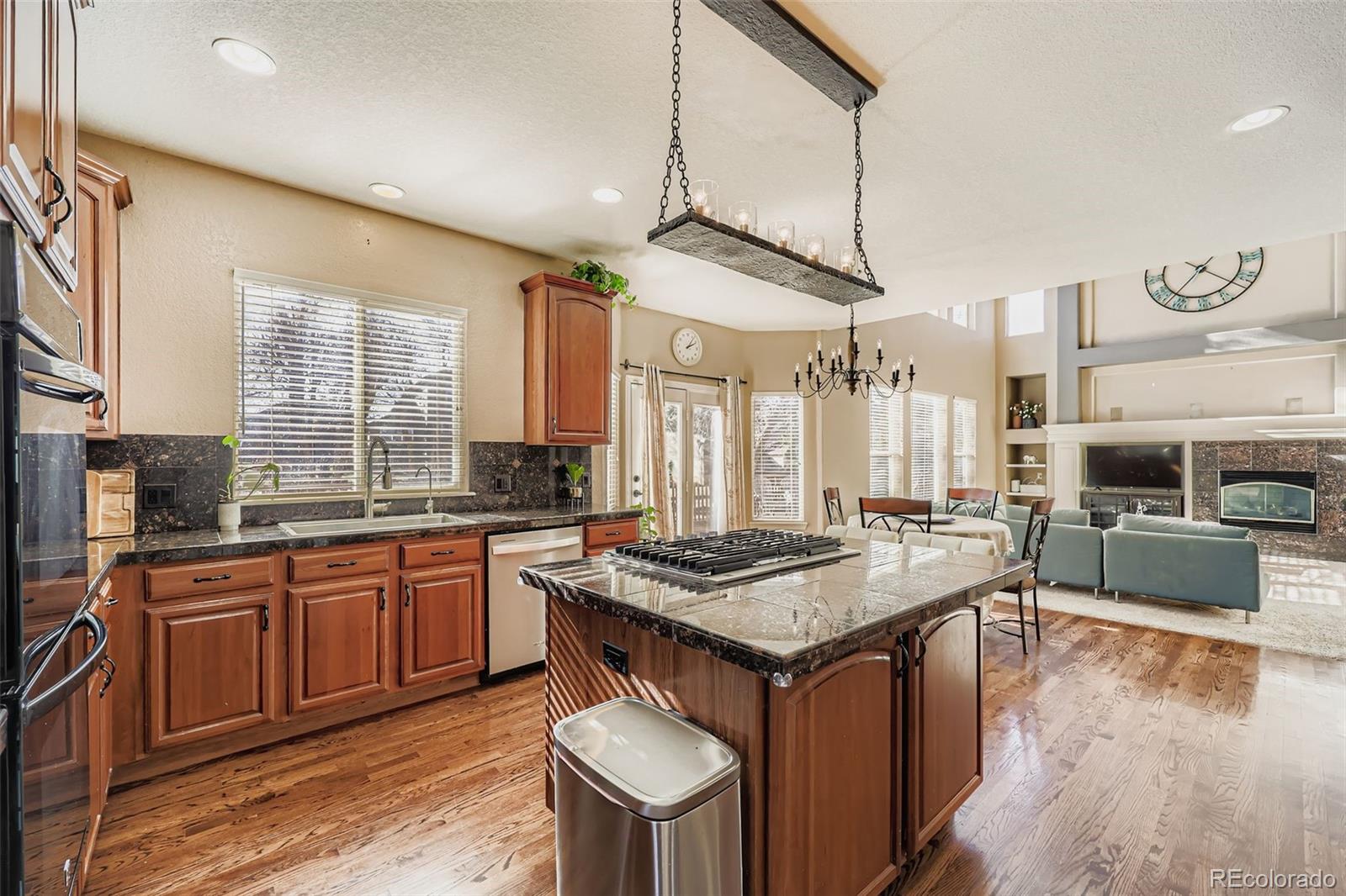 3277 Coyote Hills Way Castle Rock CO 80109