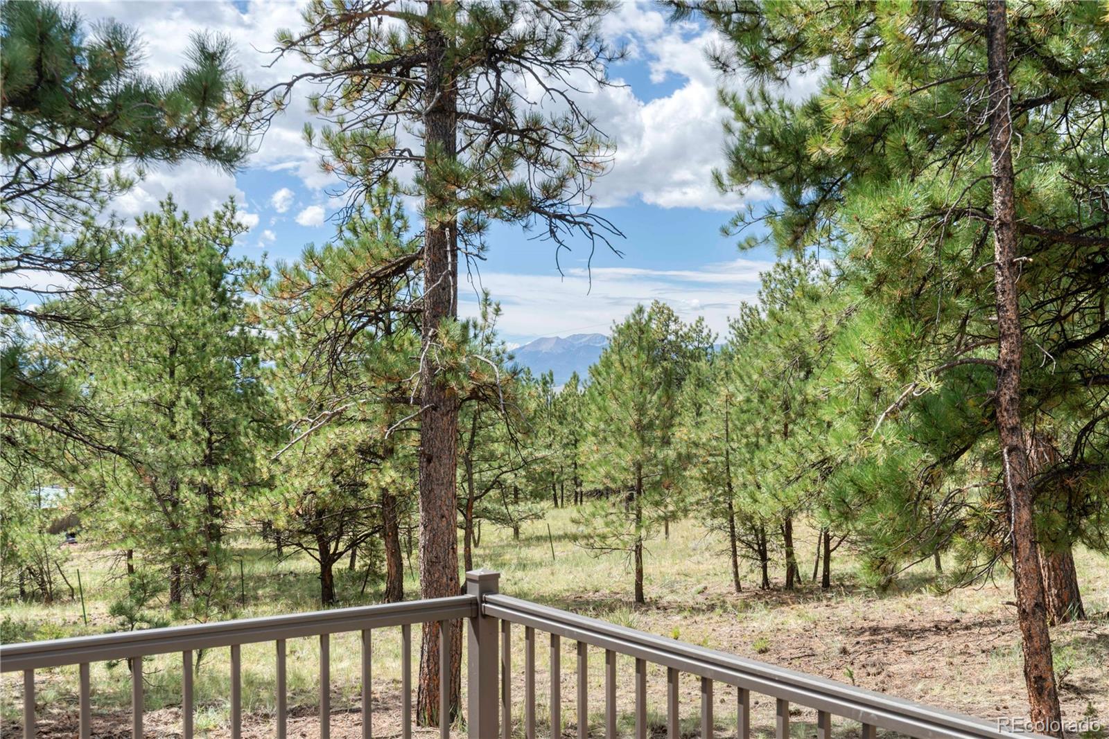 2796 Black Fawn Lane Westcliffe CO 81252