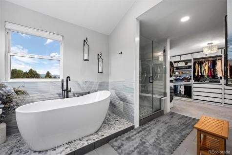2006 Chelsea Court Highlands Ranch CO 80126