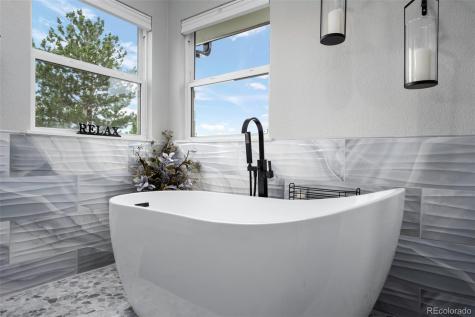 2006 Chelsea Court Highlands Ranch CO 80126